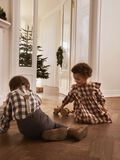 name it STRIPED BRACES, Wood Ash, highres - 13224093_WoodAsh_007.jpg