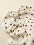 name it PELELE VESTIDO, Turtledove, highres - 13237376_Turtledove_008.jpg