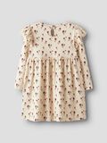 name it KUVIOLLISET MEKKO, Turtledove, highres - 13245391_Turtledove_002.jpg