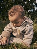name it VANDTÆT HELDRAGT, Laurel Oak, highres - 13229790_LaurelOak_007.jpg