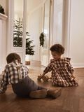 name it STRIPED BRACES, Wood Ash, highres - 13224093_WoodAsh_008.jpg