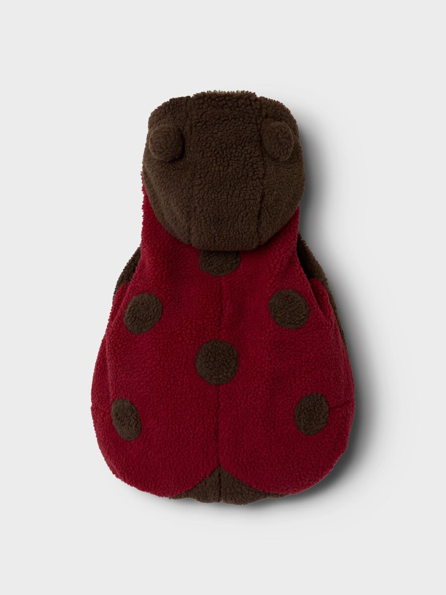 name it ANIMAL COSTUME, Red Dahlia, highres - 13246130_RedDahlia_1205053_003.jpg