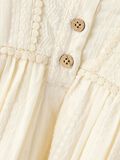 name it BIOLOGISCH KATOEN JURK, Turtledove, highres - 13235997_Turtledove_005.jpg