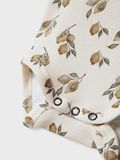 name it STRAMPLER STRAMPLER, Turtledove, highres - 13240322_Turtledove_1175116_005.jpg