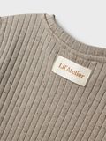 name it LOOSE FIT T-SHIRT, Mourning Dove, highres - 13241140_MourningDove_005.jpg