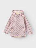 Product image thumbnail - MODELO ALFA08 CORTAVIENTOS, Violet Ice | 1