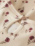 name it KUVIOLLISET MEKKO, Turtledove, highres - 13245391_Turtledove_005.jpg