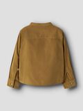 Product image thumbnail 2 ORGANIC COTTON SHIRT, Cumin