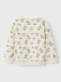name it CORTE HOLGADO SUDADERA, Turtledove, highres - 13248430_Turtledove_1218481_002.jpg