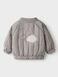 name it WOLKEN BOMBERJACKE, Mourning Dove, highres - 13248444_MourningDove_001.jpg