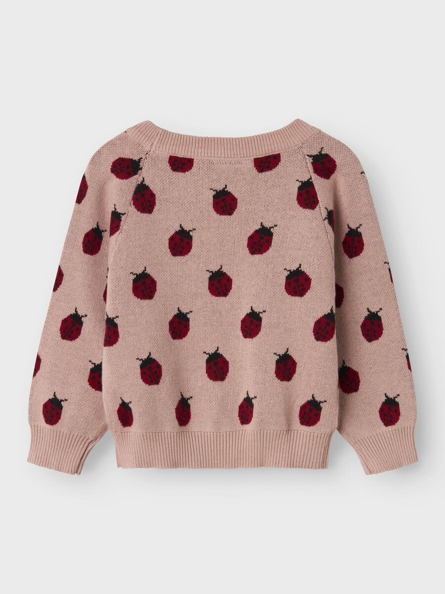 name it LANGARM STRICKTOP, Misty Rose, highres - 13245344_MistyRose_002.jpg