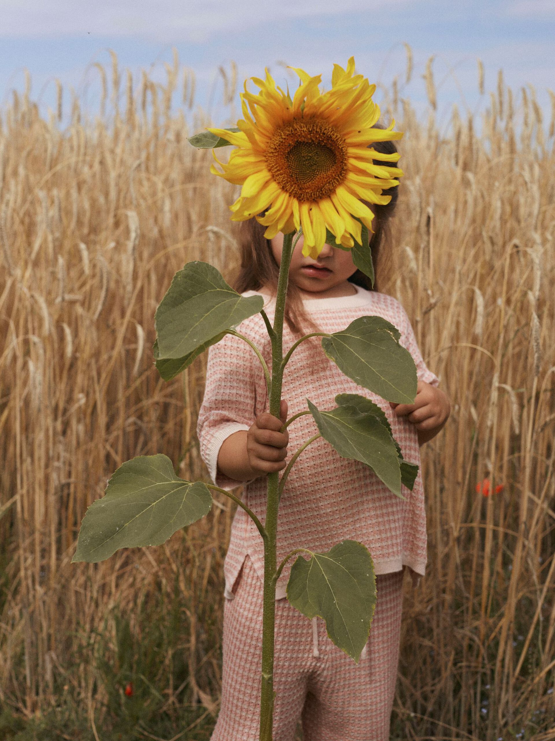 Carousel image - WIDE LEG CROPPED TROUSERS, Misty Rose | 3