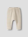 Product image thumbnail - ORGANICZNA BAWEŁNA SPODNIE, Turtledove | 2