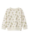 name it CORTE HOLGADO SUDADERA, Turtledove, highres - 13248430_Turtledove_1218481_001.jpg