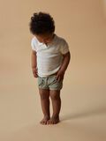 name it SHORTS, Seagrass, highres - 13250964_Seagrass_008.jpg