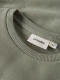 Product image thumbnail - LOOSE FIT SWEATSHIRT, Seagrass | 5
