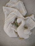 name it BIO-BAUMWOLL DECKE, Turtledove, highres - 13241314_Turtledove_007.jpg