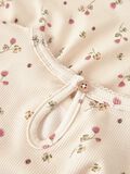 name it LYHYTHIHAINEN MEKKO, Turtledove, highres - 13245244_Turtledove_005.jpg