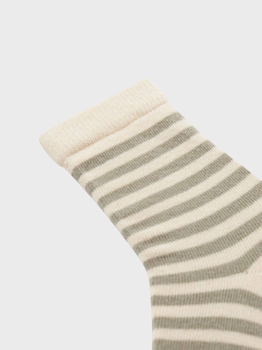 name it STREIFEN SOCKEN, Forest Fog, highres - 13241168_ForestFog_005.jpg