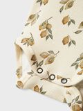 name it STRAMPLER STRAMPLER, Turtledove, highres - 13240322_Turtledove_1175116_005.jpg
